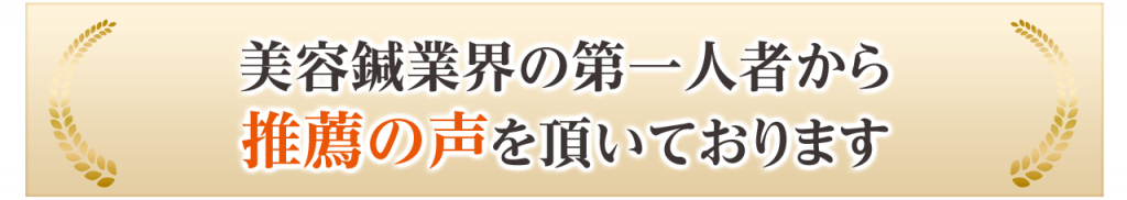 美容鍼業界の第一人者から推薦のこを頂いております